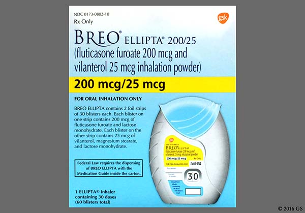 Breo Ellipta 200Mcg 25Mcg Actuation Pwd 143196 how-many-cc-is-good-for-a-beginner-choosing-the-perfect-engine-size