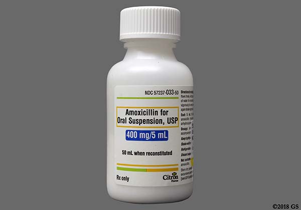 Amoxicillin Trihydrate 400mg5ml Pwd Oral Susp 50 Ml 137702